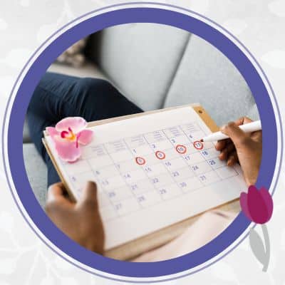 calendar of menstrual cycle